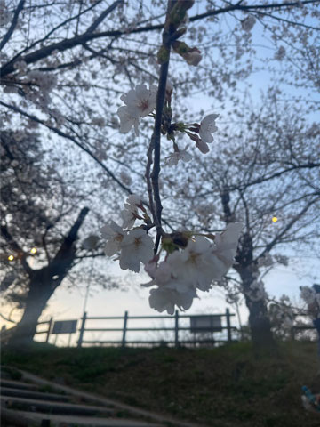 Ղ哹|